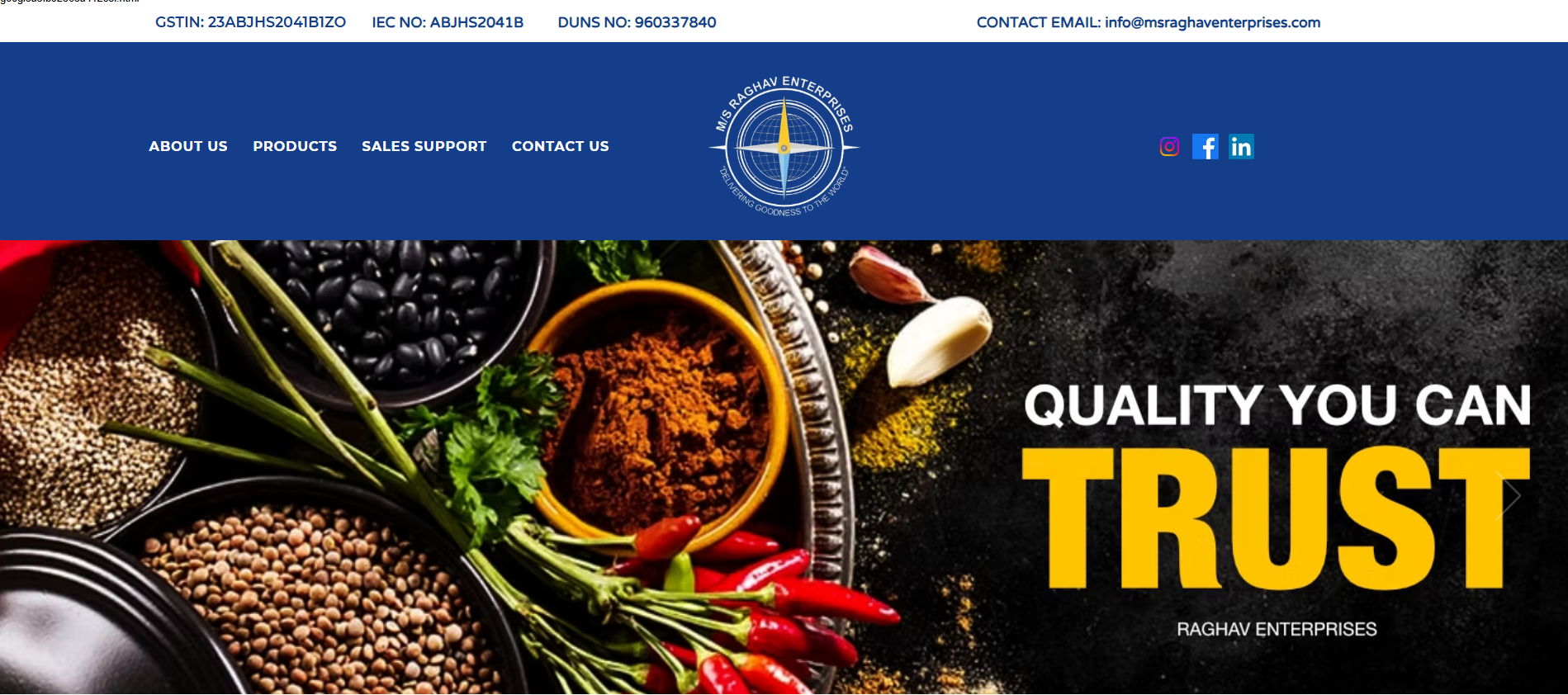 Website development project