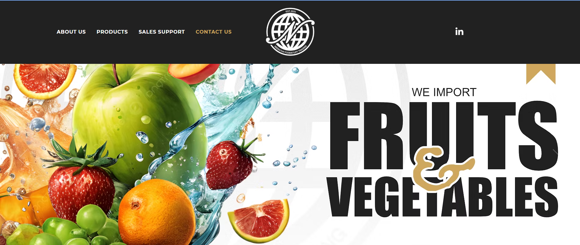 Website development project